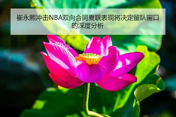崔永熙冲击NBA双向合同夏联表现将决定留队窗口的深度分析