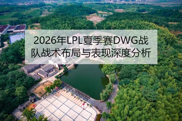 2026年LPL夏季赛DWG战队战术布局与表现深度分析