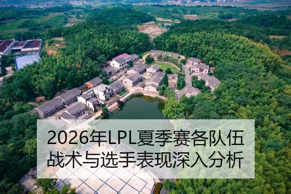 2026年LPL夏季赛各队伍战术与选手表现深入分析