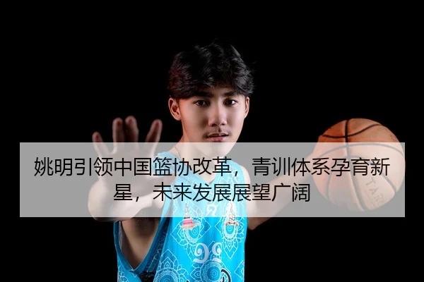 yao-ming-yin-ling-zhong-guo-lan-xie-gai-ge-qing-xun-ti-xi-yun-yu-xin-xing-wei-lai-fa-zhan-zhan-wang-guang-kuo-3-995.jpg