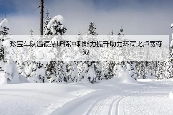 zhen-bao-che-dui-wen-de-he-si-te-chong-ci-neng-li-ti-sheng-zhu-li-huan-he-bi-lu-sai-duo-guan-2-564.jpg